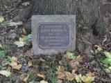 image of grave number 931271